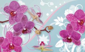 Fototapeta - Orchidej (152,5x104 cm)