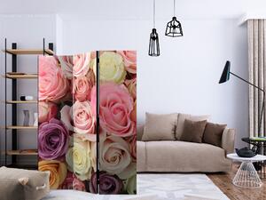 Paraván - Pastel růže [Room Dividers]