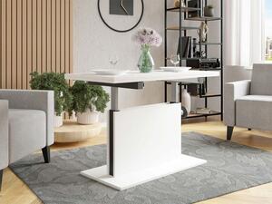 Konferenční stolek Kobali 1, Barva: bílá / bílá + černá Mirjan24 5903211132162