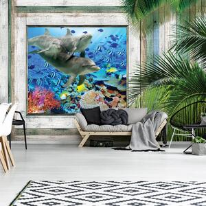 Fototapeta - Delfíni ryby pod mořem (152,5x104 cm)