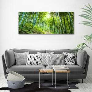 Foto obraz skleněný horizontální Bambusový les osh-60510509