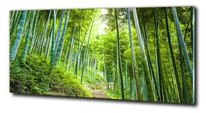 Foto obraz skleněný horizontální Bambusový les osh-60510509