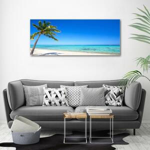 Fotoobraz na skle Tropická pláž osh-60645814