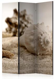 Artgeist Paraván - Beach and shell [Room Dividers] Velikosti (šířkaxvýška): 135x172