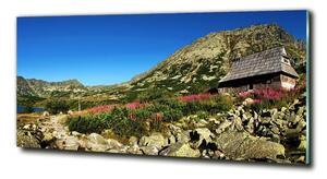 Fotoobraz na skle Bacovina v údolí osh-61140589