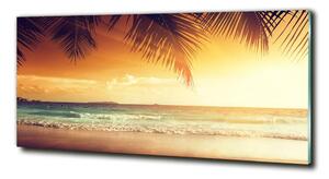 Fotoobraz na skle Tropická pláž osh-61252272