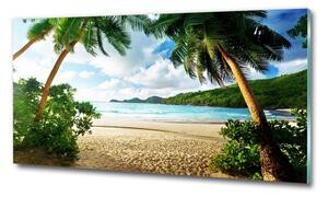 Fotoobraz na skle Palmy na pláži osh-61252283