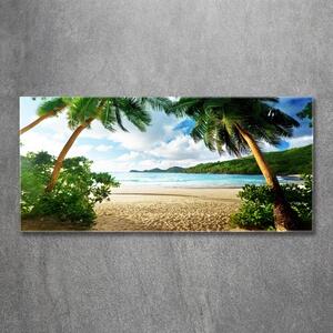 Fotoobraz na skle Palmy na pláži osh-61252283