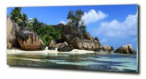 Fotoobraz na skle Seychely panorama osh-61342211