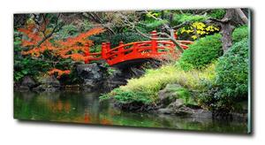 Foto obraz sklo tvrzené Japonská zahrada osh-61384677