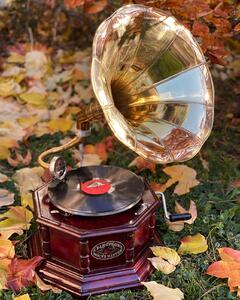 Gramofon s troubou vintage design