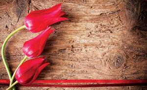 Fototapeta - Tulipán, dřevo, krajka (152,5x104 cm)