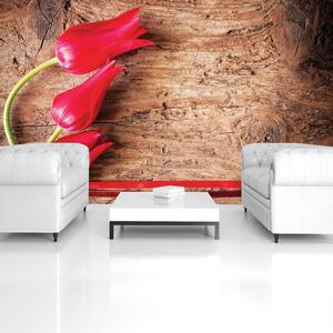 Fototapeta - Tulipán, dřevo, krajka (152,5x104 cm)