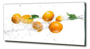 Fotoobraz na skle Pomeranče a voda osh-63072139