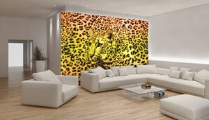 Fototapeta - Gepard leopardí zvíře (152,5x104 cm)