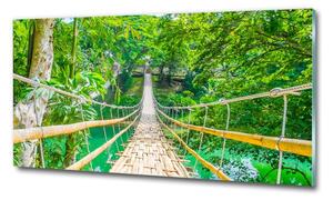 Fotoobraz na skle Most bambusový les osh-64435231