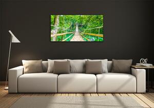 Fotoobraz na skle Most bambusový les osh-64435231