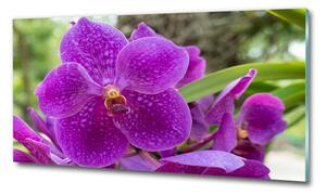 Foto obraz skleněný horizontální Orchidej osh-64607986