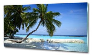Foto obraz fotografie na skle Tropická pláž osh-64894239