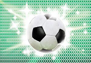 Fototapeta - Fotbalový míč (152,5x104 cm)