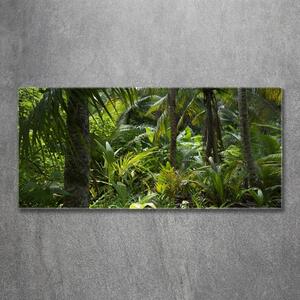 Fotoobraz na skle Tropický les osh-65033935