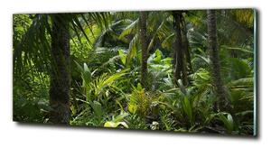 Fotoobraz na skle Tropický les osh-65033935