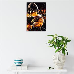 Obraz na plátně - Mortal kombat - 40x60 cm - CZ výroba