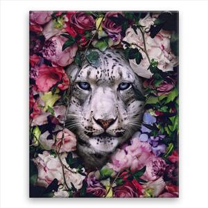 Obraz na plátně - Bílý tygr v květinách - 40x50 cm