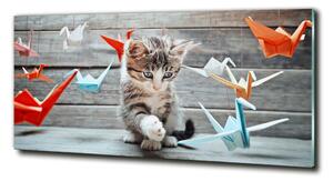 Fotoobraz na skle Kočka ptáci z papíru osh-66724934