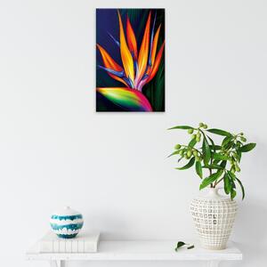 Obraz na plátně - Ohnivá rostlina - 40x60 cm