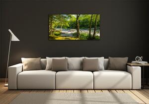 Foto obraz skleněný horizontální Řeka v lese osh-66915556