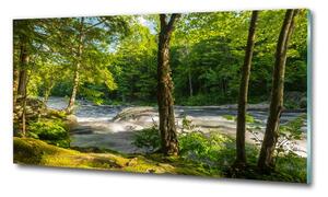Foto obraz skleněný horizontální Řeka v lese osh-66915556