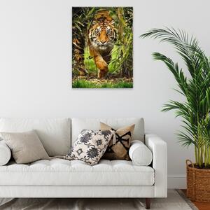 Obraz na plátně - Číhající tygr - 30x40 cm