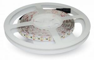 V-TAC LED pásek do interiéru 3528 120 SMD/m 5m bal., Studená bílá 6000 - 6500K