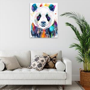 Obraz na plátně - Panda v barvách - 40x50 cm