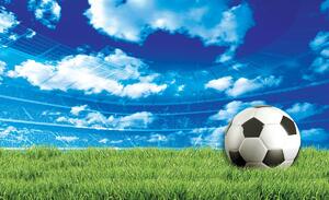Fototapeta - Fotbal na trávě (152,5x104 cm)