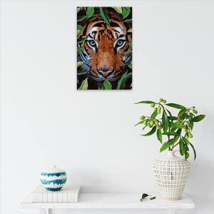Obraz na plátně - Tygr na lovu - 40x60 cm - CZ výroba
