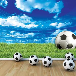 Fototapeta - Fotbal na trávě (254x184 cm)