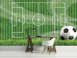 Fototapeta - Fotbalové hřiště (152,5x104 cm)