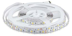 V-TAC RGB+W LED pásek do interiéru 5050 60 SMD/m 5m bal., RGB+Studená bílá