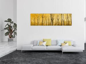 Obraz - Plantáž stromů (170x50 cm)