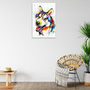 Obraz na plátně - Husky v barvách - 40x60 cm