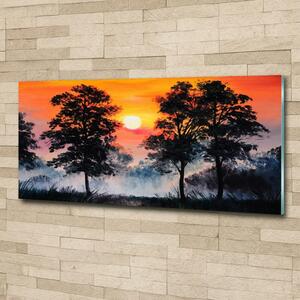 Fotoobraz na skle Západ slunce les osh-68195364