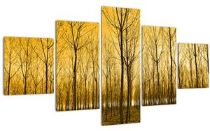 Obraz - Plantáž stromů (125x70 cm)