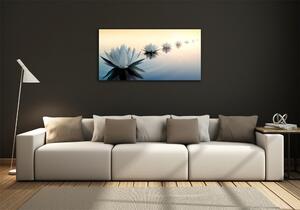 Moderní foto obraz na stěnu Květiny lotosu osh-68298321