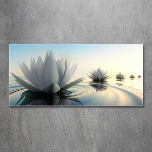 Fotoobraz na skle Květ lotosu osh-68293663