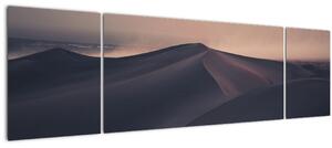 Obraz - Písečné duny (170x50 cm)