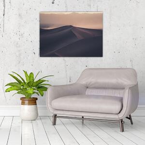 Obraz - Písečné duny (70x50 cm)