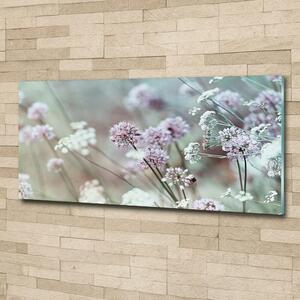 Moderní foto obraz na stěnu Divoké květiny osh-68608156