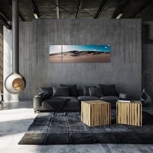 Obraz - Z pouště (170x50 cm)